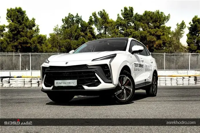 جدیدترین لاماری وارداتی در بازار قیمت خورد